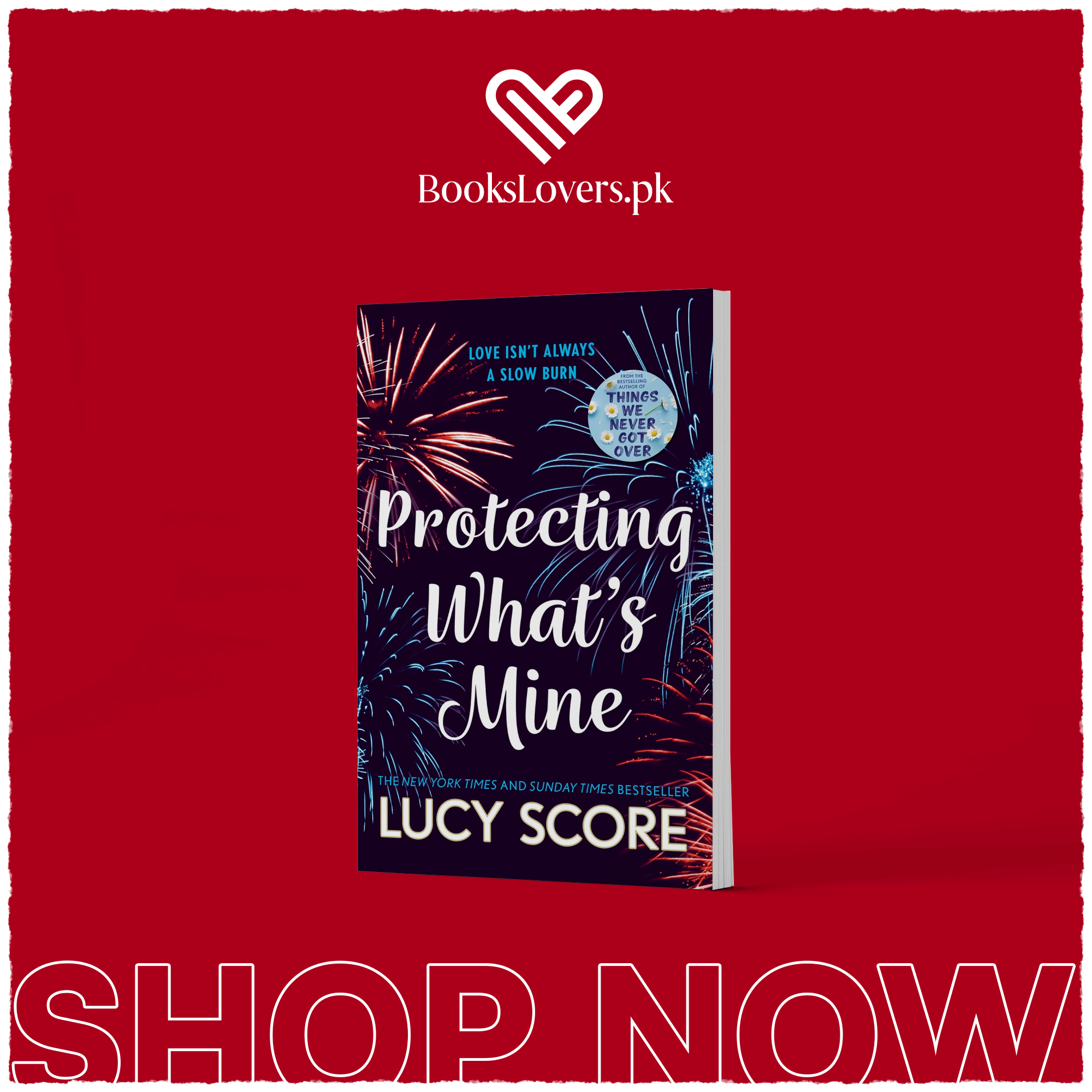 Protecting What's Mine by Lucy Score