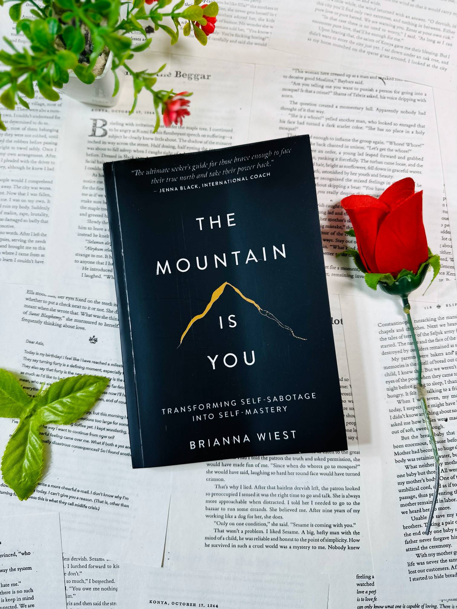 The Mountain Is You: Transforming Self-Sabotage Into Self-Mastery by Brianna Wiest