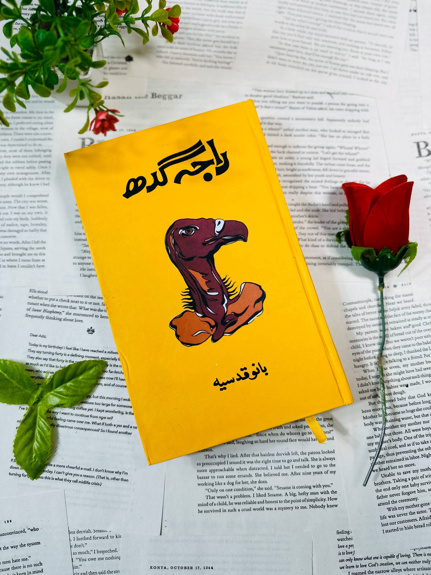 Raja Gidh / راجہ گدھ by Bano Qudsia