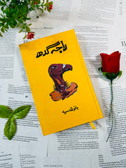 Raja Gidh / راجہ گدھ by Bano Qudsia