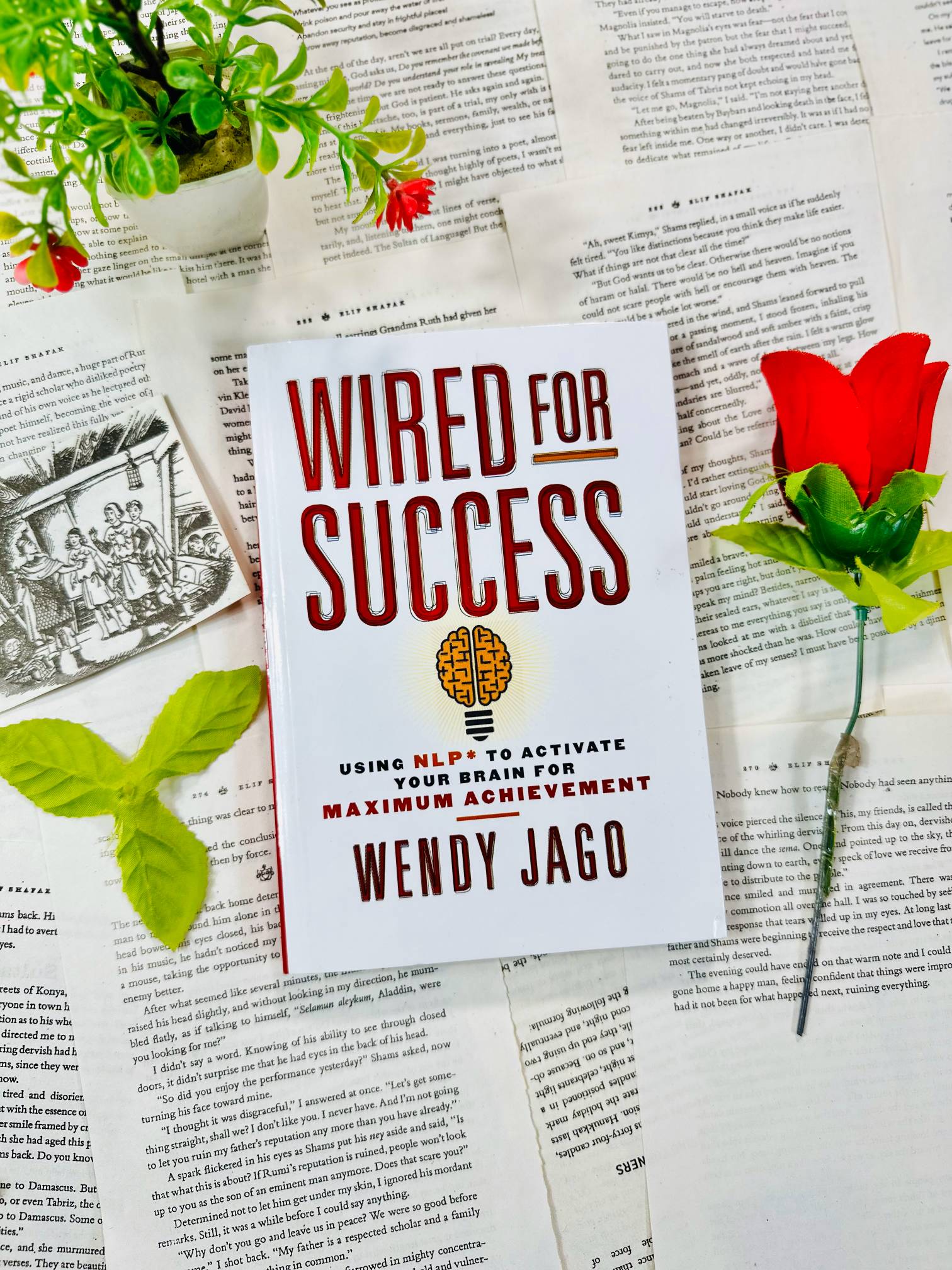 Wired for Success: Using NLP to Activate Your Brain for Maximum Achievement by Wendy Jago