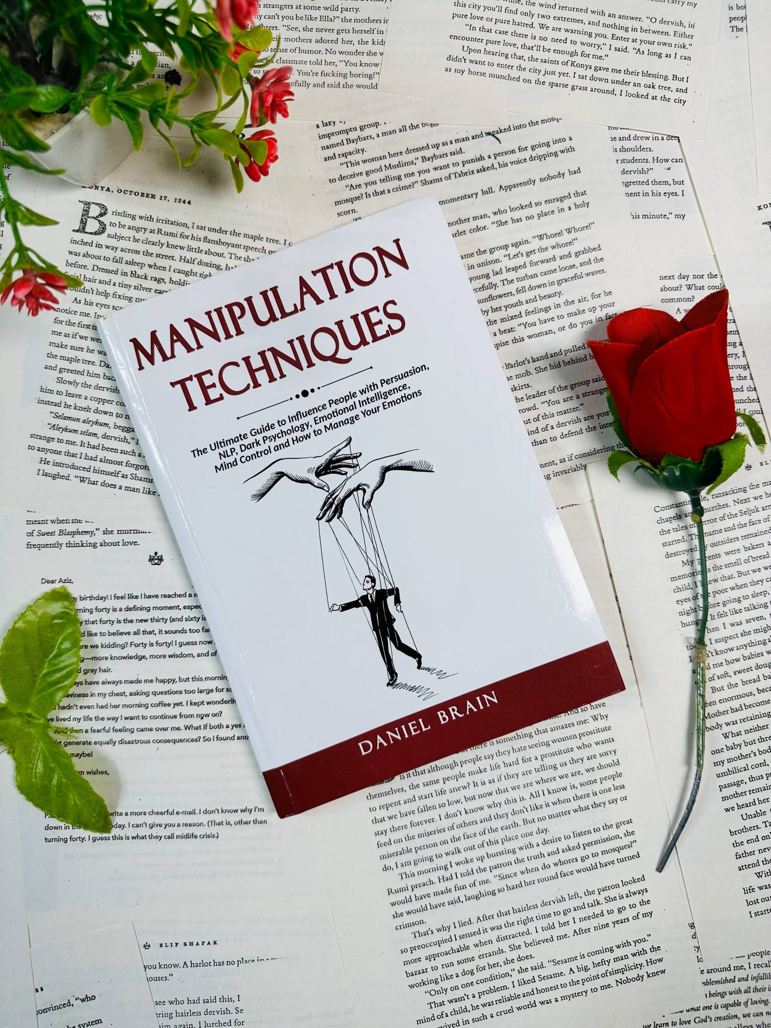 Manipulation Techniques by Daniel Brain