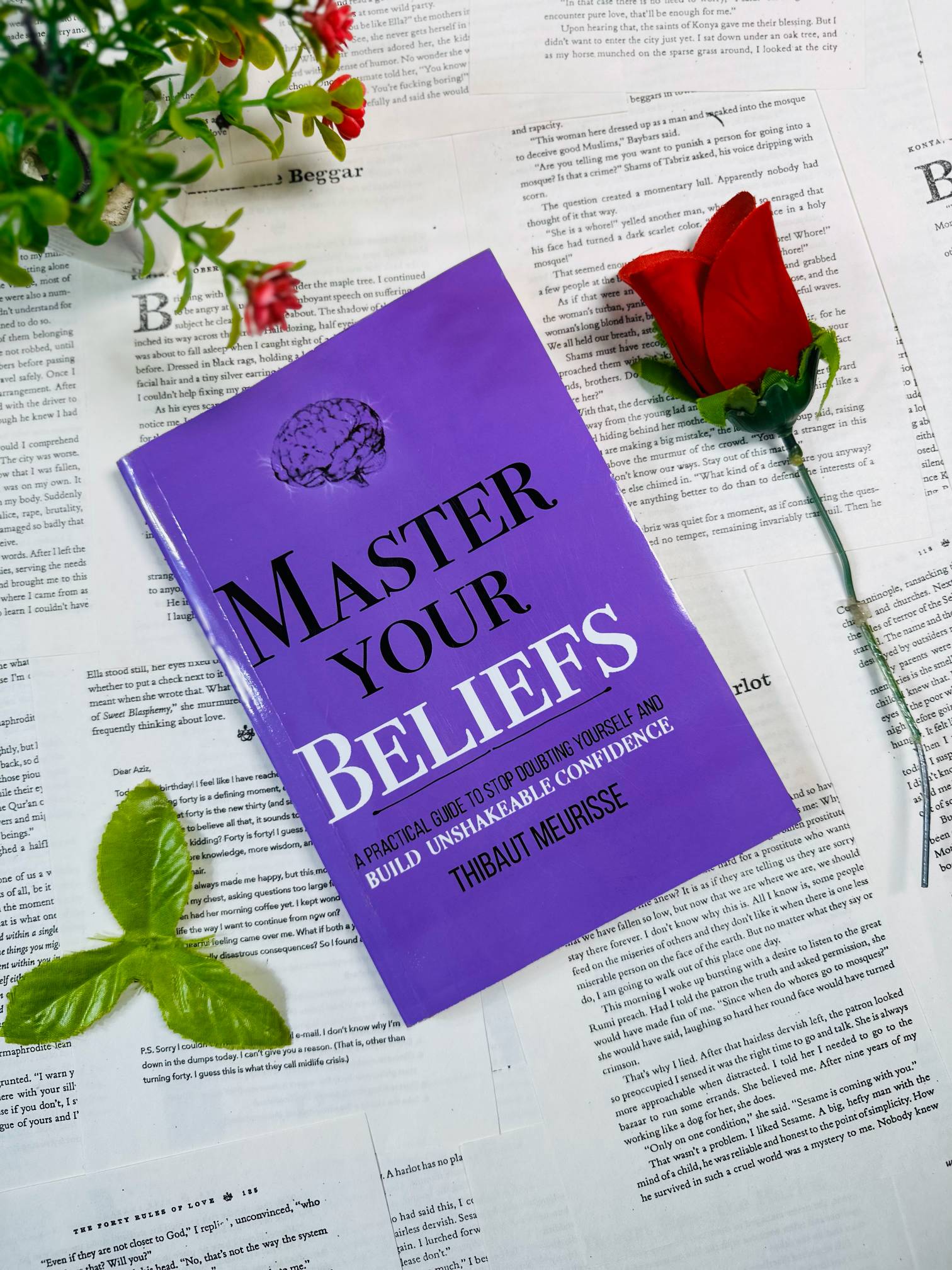 Master Your Beliefs by Thibaut Meurisse