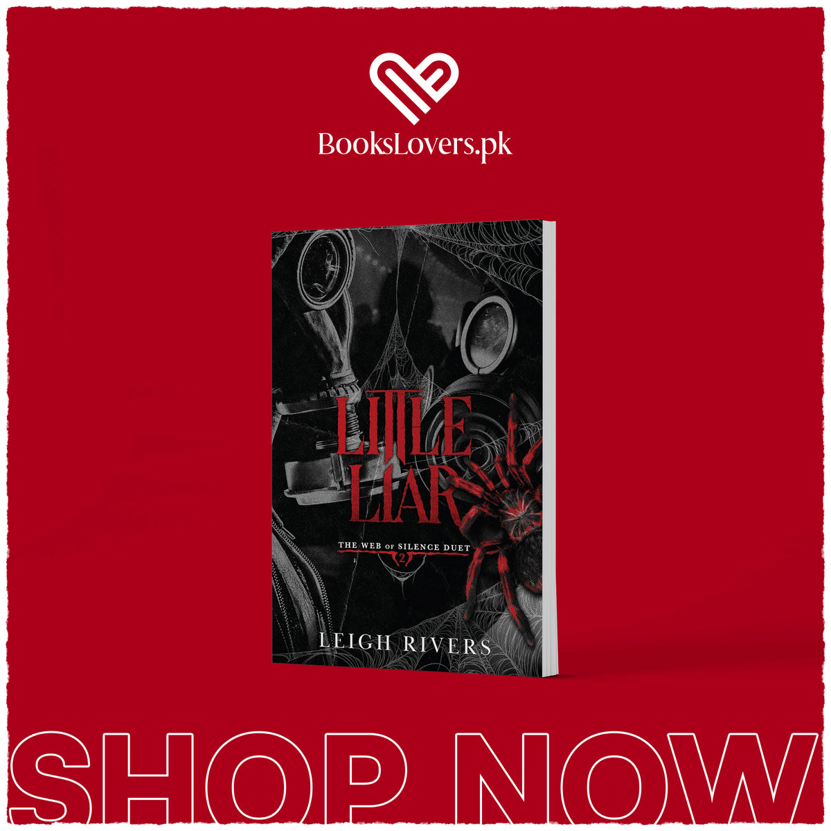 Little Liar by Leigh Rivers