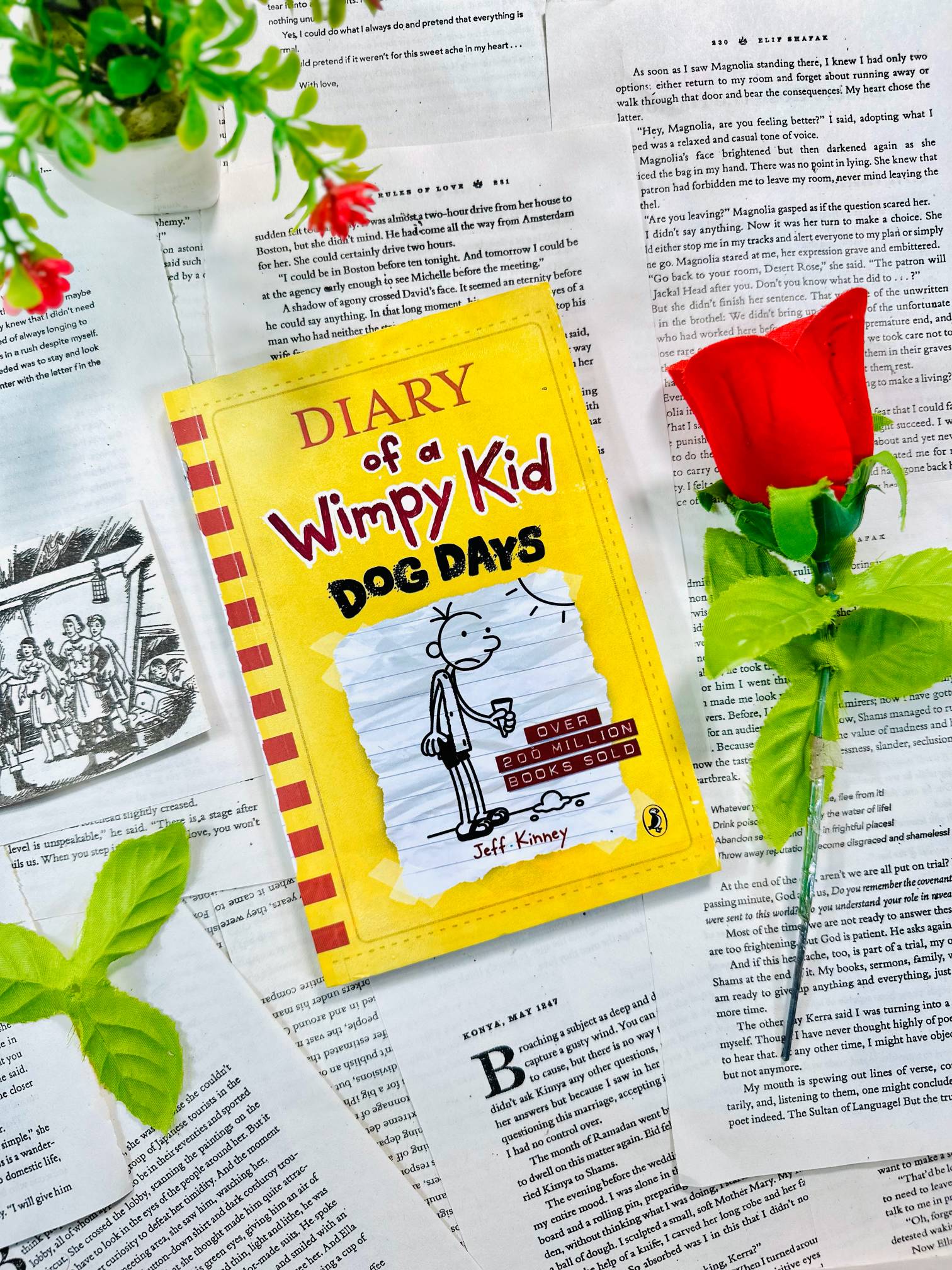 Diary Of A Wimpy Kid - Dog Days By Jeff Kinney