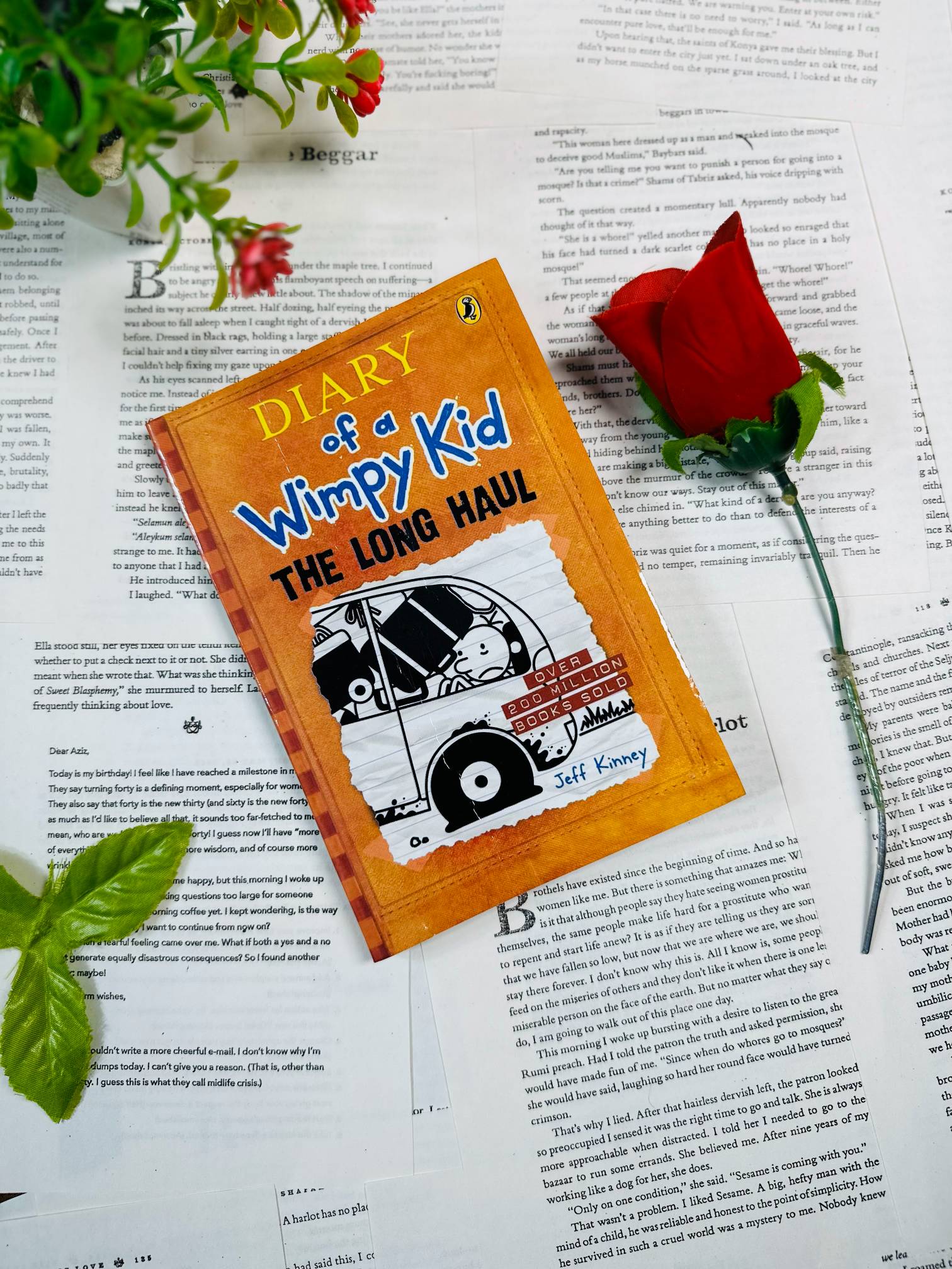 Diary Of A Wimpy Kid - The Long Haul By Jeff Kinney