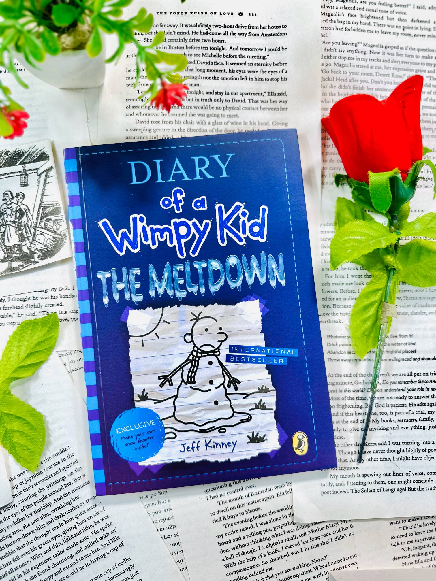 Diary Of A Wimpy Kid - The Meltdown By Jeff Kinney